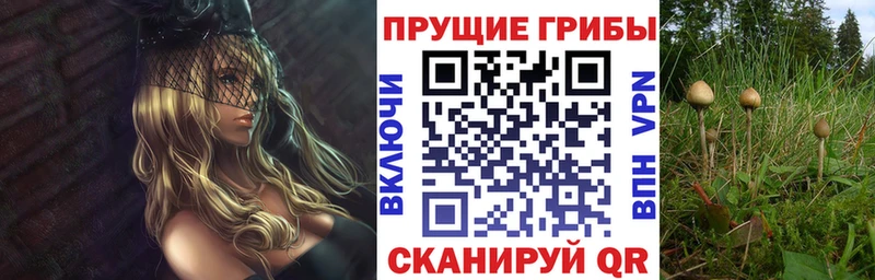 Галлюциногенные грибы Magic Shrooms  Сухиничи 