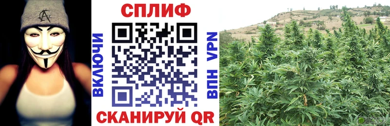 Бошки Шишки конопля  где продают наркотики  Сухиничи 